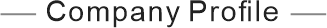 Company Profile